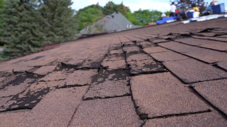 Best Skylight Installation and Repair  in Everett, WA